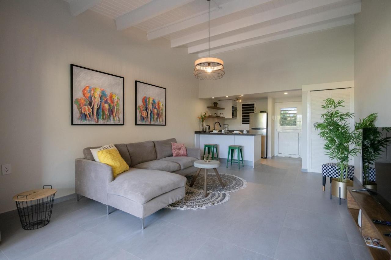 Casa Arte- Exclusive Apartment With Internet And Pool Santa Catharina Exteriör bild